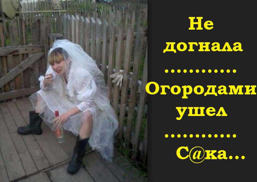 Picture background