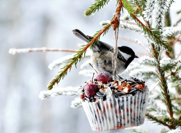    ?   - ...     ,      ...