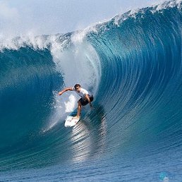 �����, ���, 58 ���