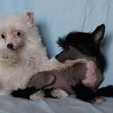 ���� �����, ������ - ��������� 5 ������ 2018 � ������ ���� ����������