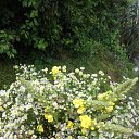 ���� ����, ����� - ��������� 20 ������ 2018 � ������ ���� ����������