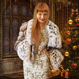 ����, �������, 72 ����