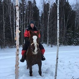 ����, �����, 47 ���