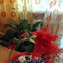 ���� �����, �����������-��-�����, 57 ��� - ��������� 14 ������� 2018 � ������ ���� �������