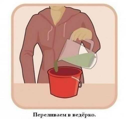 Занимательная ботаника. Как вырастить надпись или рисунок из мха - 3