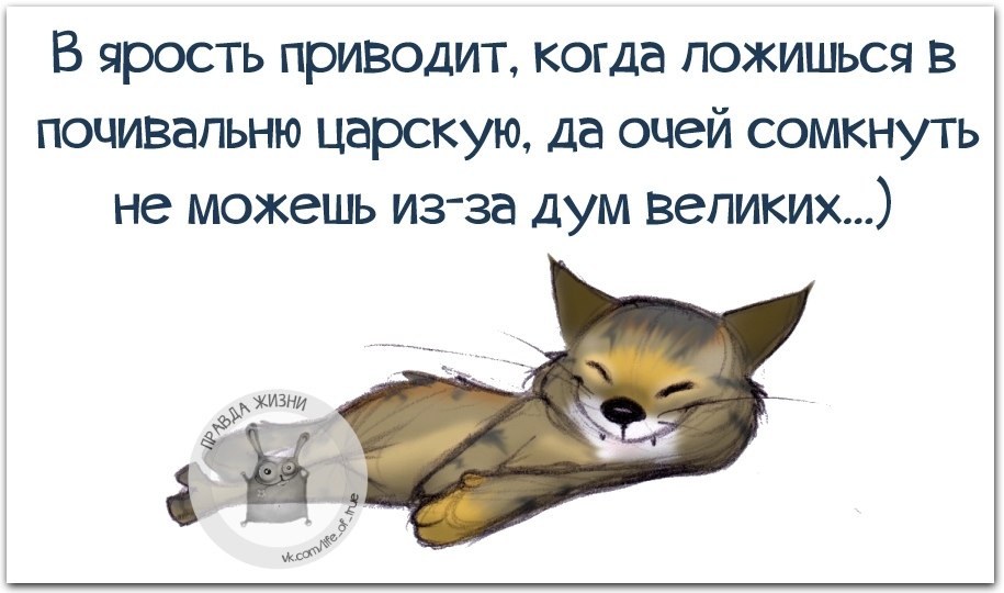 Веселые цитаты. Чем в жизни занимаешься ответы. Как дела чем занимаешься. Вывеска мем. Ответ на вопрос чем занимаешься с юмором.