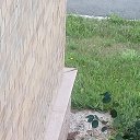 ���� ������, �������� - ��������� 3 �������� 2018 � ������ ���� ����������