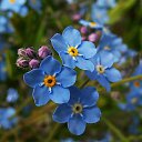 ���� �����, ������, 57 ��� - ��������� 29 ������� 2018 � ������ ���� ����������