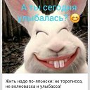 ���� ������, �����-���������, 61 ��� - ��������� 14 ������ 2018 � ������ ���� ����������