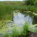 ���� ���, ���������, 22 ���� - ��������� 1 ����� 2019 � ������ ���� ����������