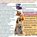 ���� ����, ���, 46 ��� - ��������� 6 ������ 2018 � ������ ������-����������