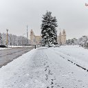 ���� ������, ������, 53 ���� - ��������� 14 ������� 2019 � ������ ������ ��������