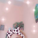 ���� Lotos, ������ - ��������� 26 ������� 2019 � ������ ���� ����������