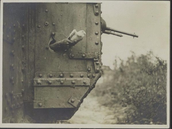      . 1917 . https://fotostrana.ru/away?to=/sl/nqS1