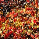 ���� Aleksa, ������, 30 ��� - ��������� 25 ������� 2018 � ������ ������ ��������