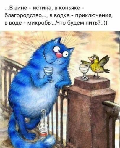 Vladislav Maznichenko - 21  2019  23:43
