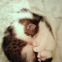 ���� �����, ���� - ��������� 21 ������� 2018 � ������ ���� ��������