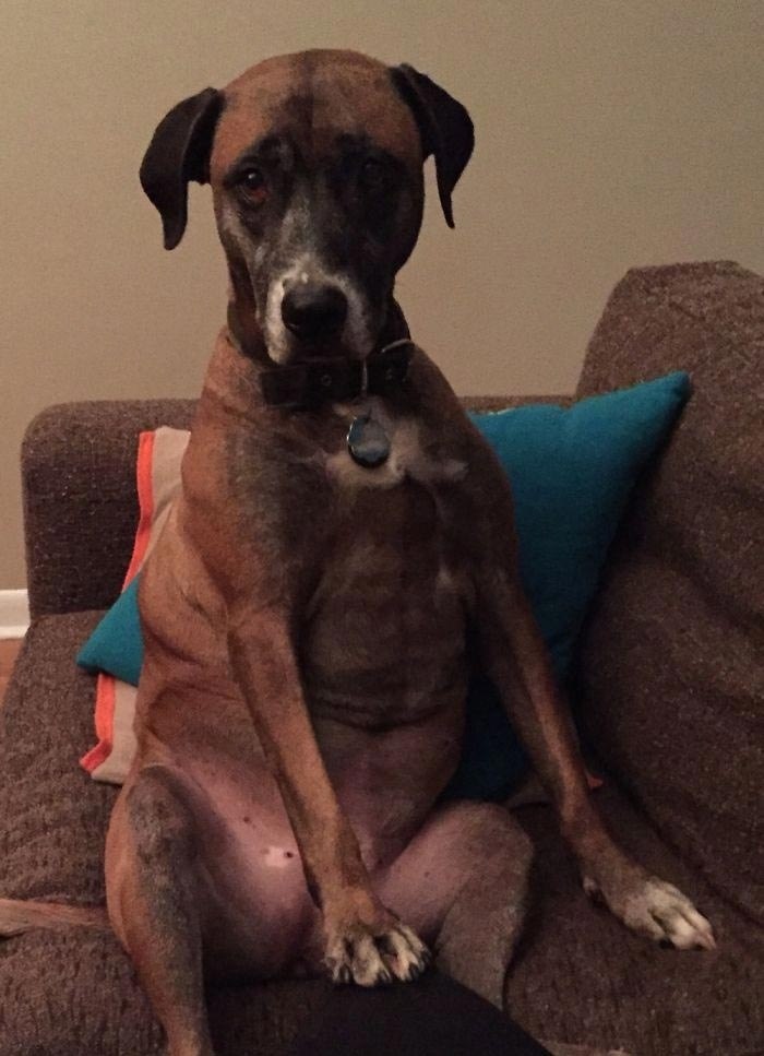� ��� ������?
