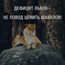 ���� �������, ����� - ��������� 19 ������� 2018 � ������ ���� ����������