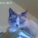 ���� �����, �������, 51 ��� - ��������� 20 ������ 2018