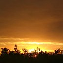 ���� ������, ����, 46 ��� - ��������� 16 ���� 2018 � ������ ���� ����������