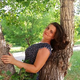 �������, ����������, 43 ����