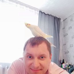 �������, , �������