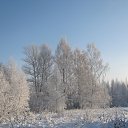 ���� ���������, ���� - ��������� 28 ������� 2018 � ������ �����-��������� ����� ����� �����