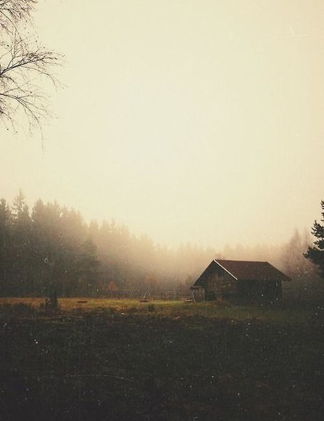 ������ � ���� / - 6