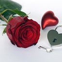 ���� Sabuhi, ����, 44 ���� - ��������� 24 ������ 2019 � ������ ���� ����������