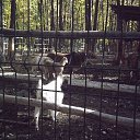 ���� ������, ��������� - ��������� 16 ������� 2018 � ������ ������ ������� �����������