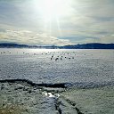 ���� �����, ��������, 54 ���� - ��������� 19 ������� 2019 � ������ ������ ��������