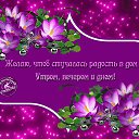 ���� �������, ���������� ����� - ��������� 14 ����� 2019 � ������ ���� �� ��