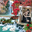 ���� �������, ����������� - ��������� 21 �������� 2018 � ������ ���� ����������