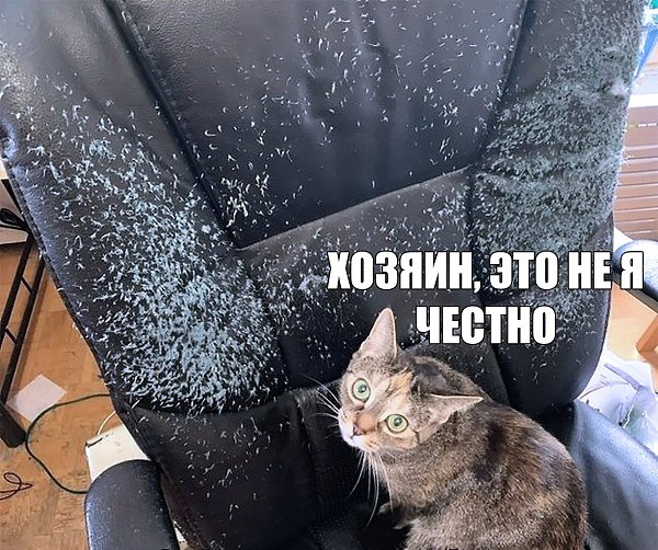    :D - 18  2019  03:41