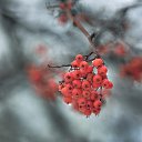 ���� �������, ������, 55 ��� - ��������� 27 ������� 2018 � ������ ���� ����������