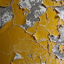 ���� ������, �����-���������, 50 ��� - ��������� 18 ������� 2018 � ������ ������� ������