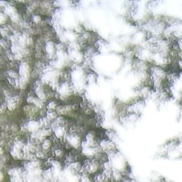 �������, �����