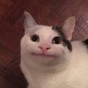 ���� �����, ���������, 25 ��� - ��������� 10 ������ 2018 � ������ ���� ����������