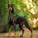 ���� Alex, ������, 46 ��� - ��������� 26 ������� 2019 � ������ ���� ����������