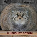 ���� ����, ������� ������, 56 ��� - ��������� 25 ������ 2018 � ������ ������ ��������