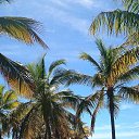 ���� �����, ������ ��������, 41 ��� - ��������� 4 �������� 2018 � ������ ���� ����������