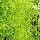 ���� �����, ��������, 43 ���� - ��������� 1 �������� 2018 � ������ ���� ����������