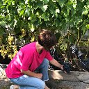 ���� �����, ������, 57 ��� - ��������� 10 �������� 2018 � ������ ���� ����������