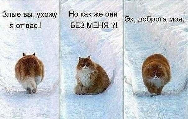    - 16  2018  17:05