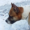 ���� Vladimir, ����, 42 ���� - ��������� 27 ������� 2018 � ������ �S�