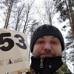 ���� ������, �������, 43 ���� - ��������� 14 ����� 2019