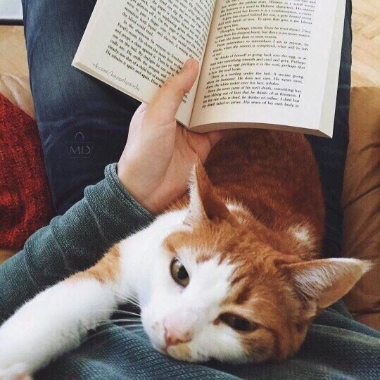 Чем бoльше мы oтдаём другим рaдocти, нежнoсти и любви, тем больше у нас счастья. Это как колодец с ...