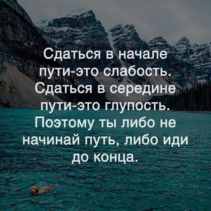    - 28  2018  16:25