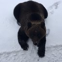 ���� ���������, ���������, 45 ��� - ��������� 12 ������� 2018 � ������ ���� ����������